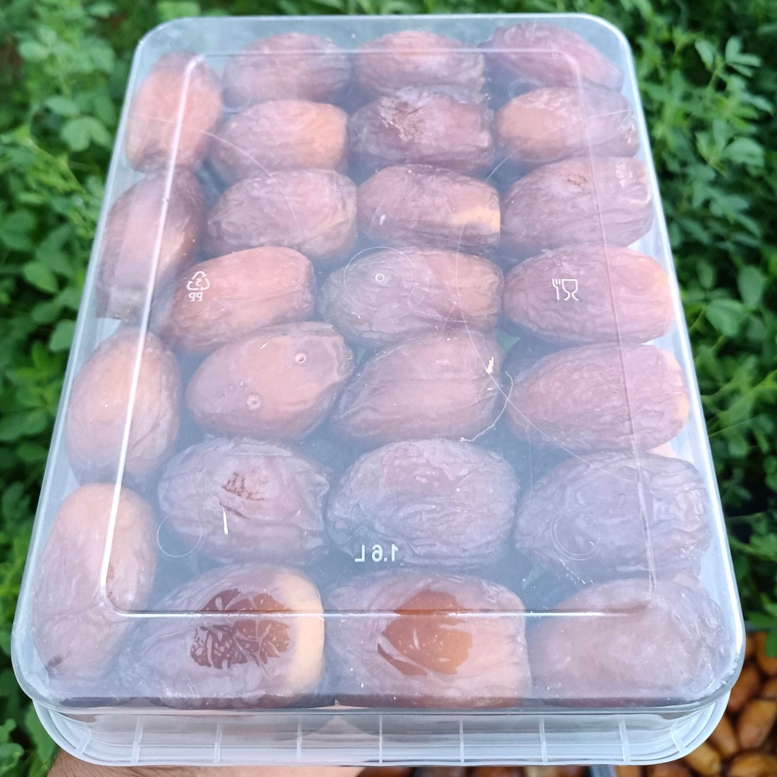 Dattes Mejhoul Calibre Large – 1 kg