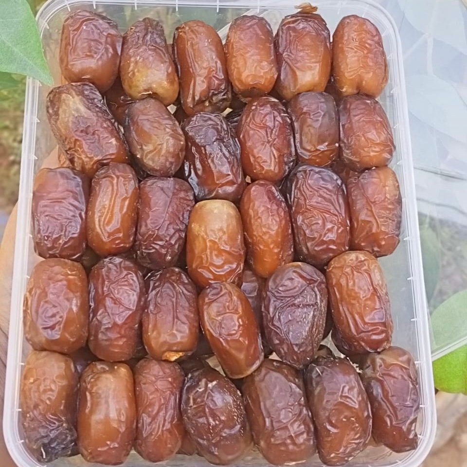 Dattes fegous Calibre Medium – 1 kg