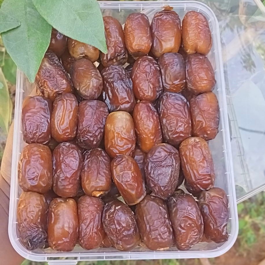 Dattes Feggouss Large (بوفقوس حجم كبير) – Image 3
