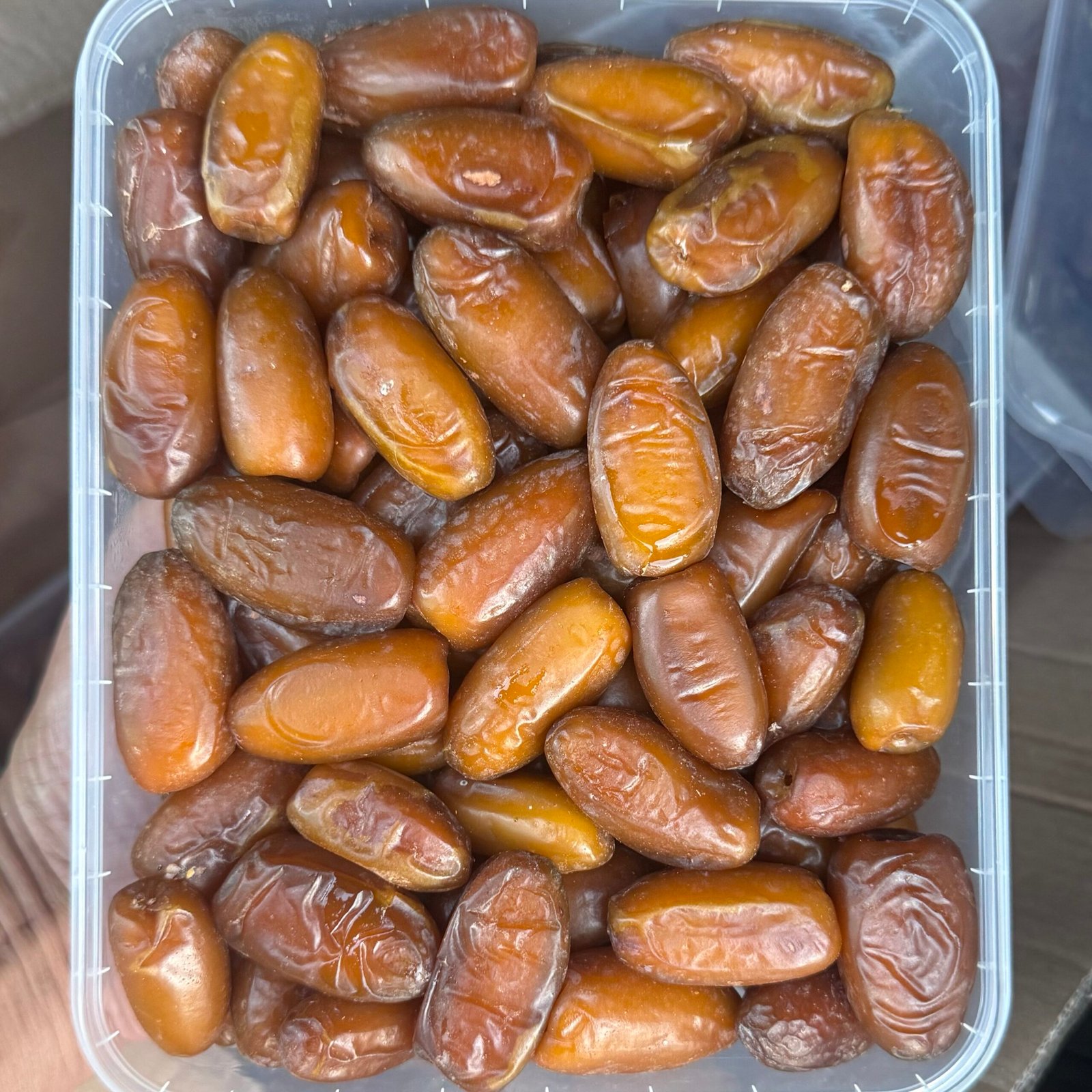 Dattes Azegza (تمور ازگزا) – Image 2